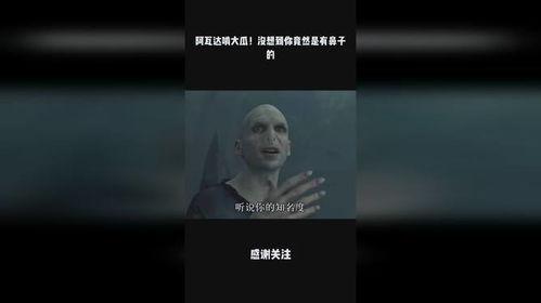 阿瓦达吃瓜的视频,揭秘网红美食背后的故事