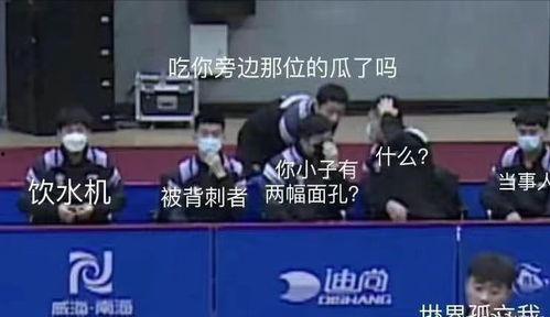 国乒队男队吃瓜视频回放,揭秘赛场背后的欢乐时光