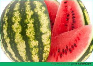 不老瓜怎么吃才好吃视频,视频教你轻松享美食