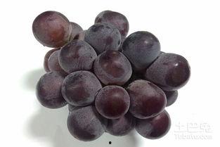 巨峰葡萄吃瓜视频,甜蜜滋味，尽享夏日清凉