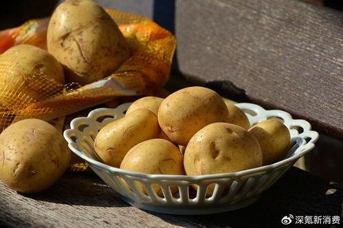 大瓜吃土豆视频下载安装,轻松获取精彩内容