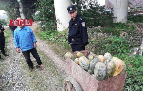 成都柳浪湾吃瓜事件视频,一场引发热议的街头冲突瞬间