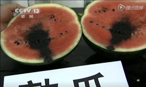 自己做的吃瓜视频,我的独家吃瓜视频制作心得