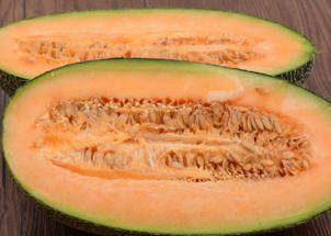 青鱼会吃哈密瓜吗视频教程,哈密瓜在鱼缸中的奇妙之旅