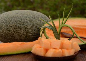 古代人吃哈密瓜视频大全,揭秘古代人享用哈密瓜的奇妙瞬间