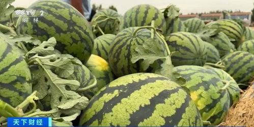 全网最恶心吃瓜视频