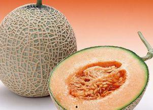 鱼儿吃哈密瓜视频大全,揭秘鱼儿对哈密瓜的神奇喜爱