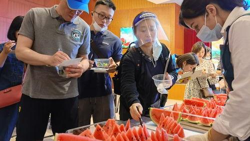 上海小阿姨吃瓜视频播放,揭秘都市生活百态