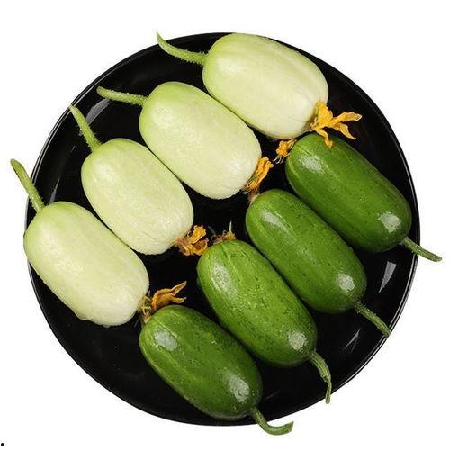 吃瓜哪个视频好看啊免费观看