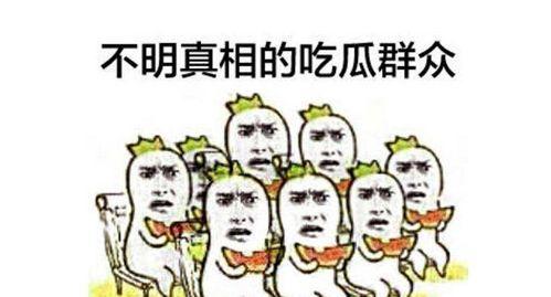 吃瓜群众张大明视频大全,揭秘娱乐圈幕后故事