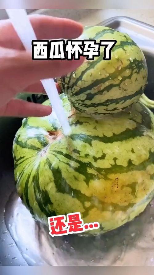 吃瓜搞怪配音视频大全素材,吃瓜搞怪视频素材大盘点