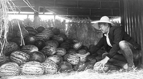 曹妃甸吃瓜群众视频曝光,揭秘幕后真相