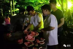 南山院士吃瓜事件视频全集,揭秘视频全集背后的真相与争议