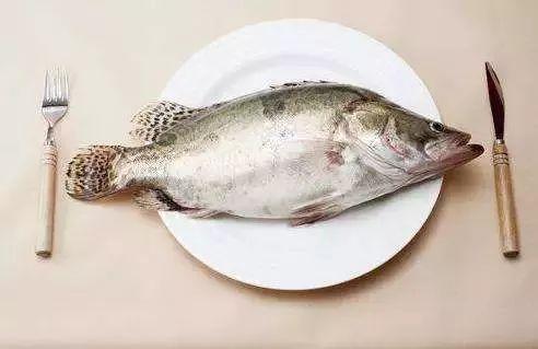 糟瓜鱼怎么吃最好吃视频,视频教你最佳食用方法
