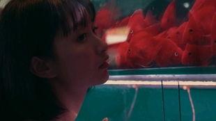 吃瓜少女完整视频,揭秘娱乐圈幕后真相