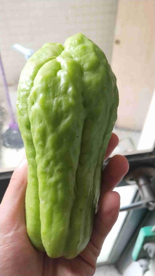 黄陵瓜怎么吃最好吃视频,视频揭秘最佳食用方法