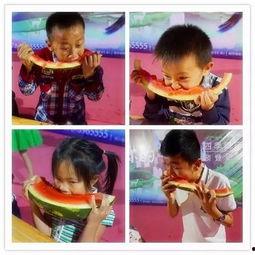 爆笑吃瓜大赛视频大全下载,视频大全下载，笑料横飞，欢乐无限！