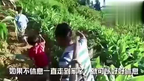 鹿泉女婿吃瓜视频,揭秘家庭纷争背后的真相