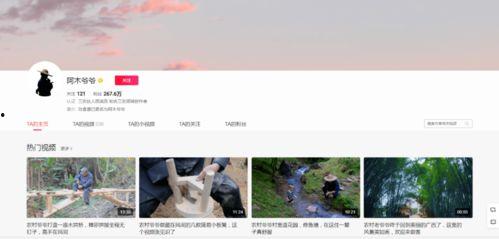 吃瓜视频网站属于外网吗