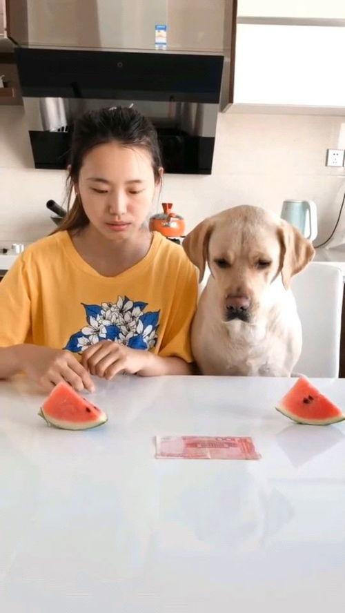 吃瓜视频比赛大全
