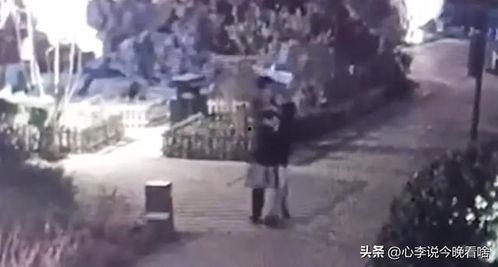 七里坪吃瓜事件视频最新,一场网络狂欢背后的真相与反思